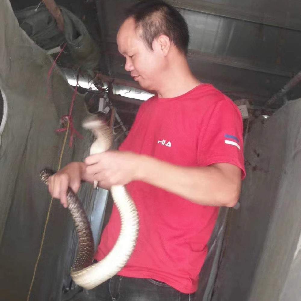 上门收购